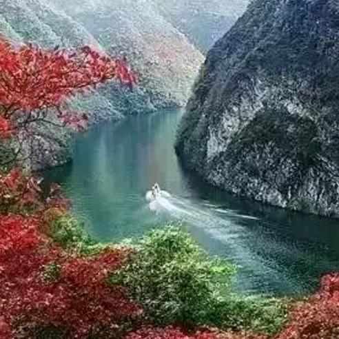 山峡浪子用户5555784993052