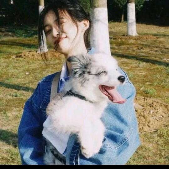 。。。。。。。。。。。。。