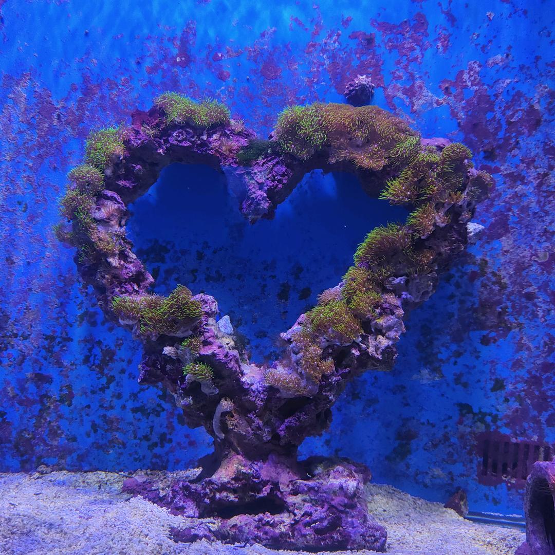 ♛时光静好★^O^