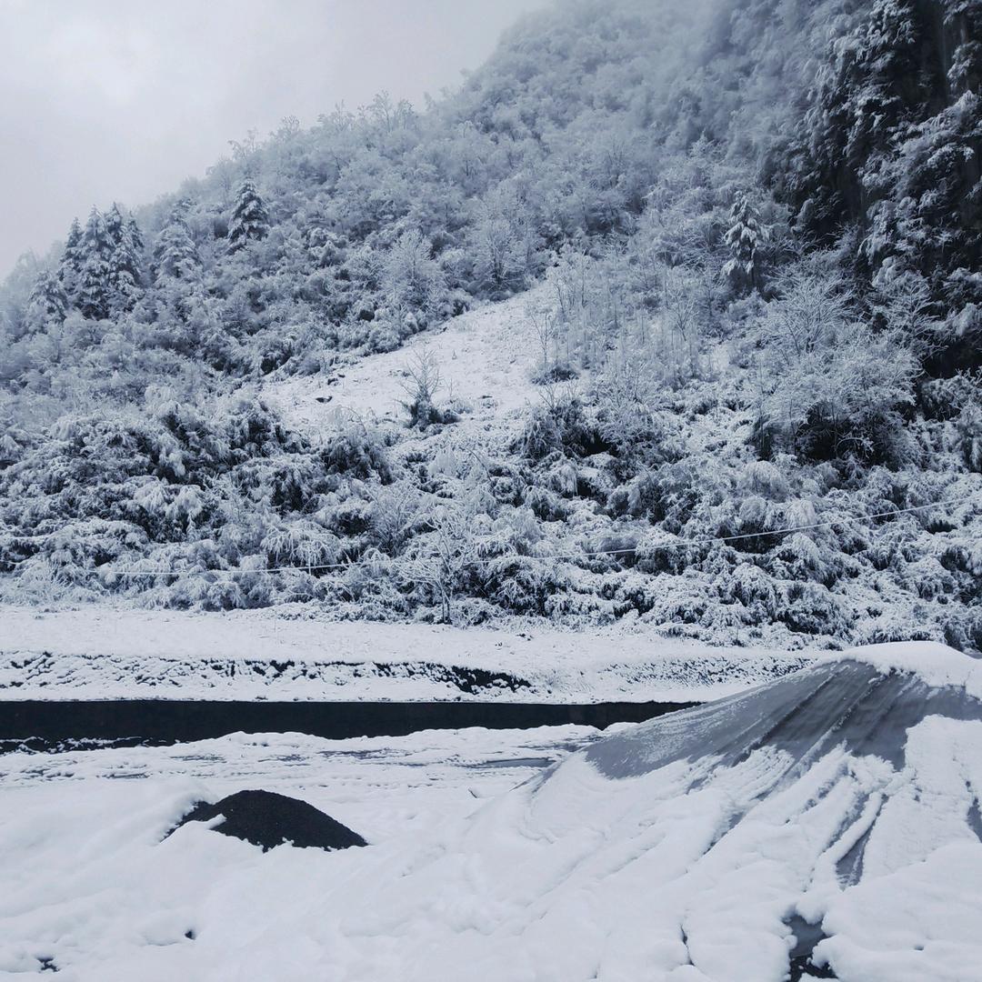 老农民