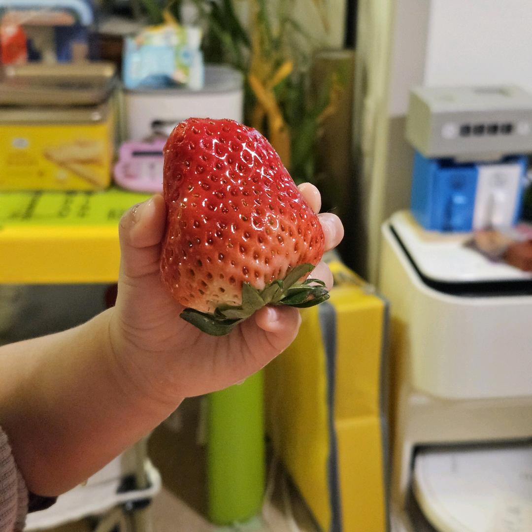 莓日鲜 （彩色草莓基地）