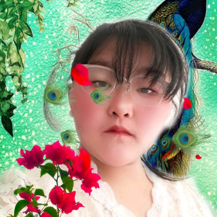 丹宝宝