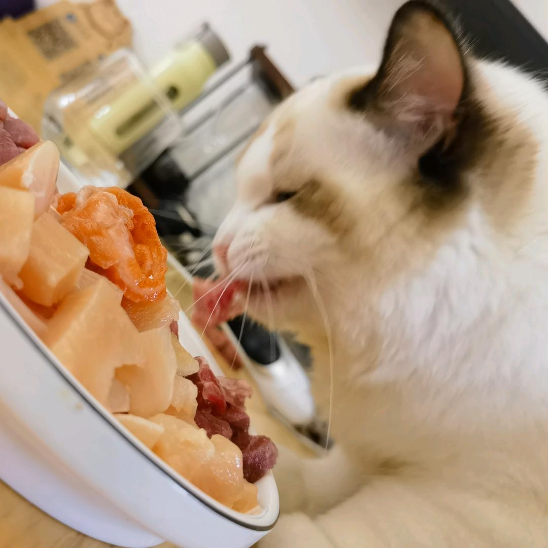 源鲜宠食宠物餐厅