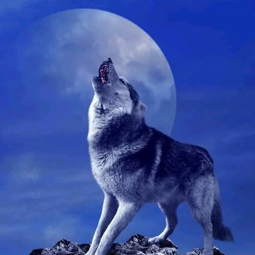 💕 ❧⁵²⁰东张西王喜相逢꧔ꦿ࿐้