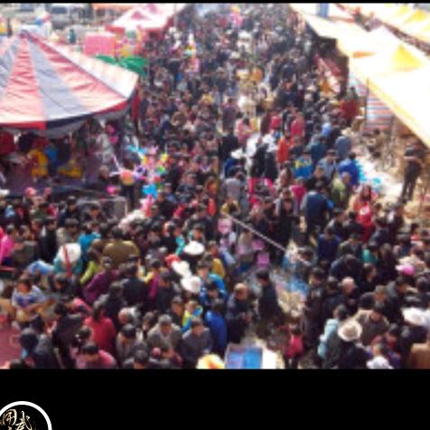 在路上  君诚会展