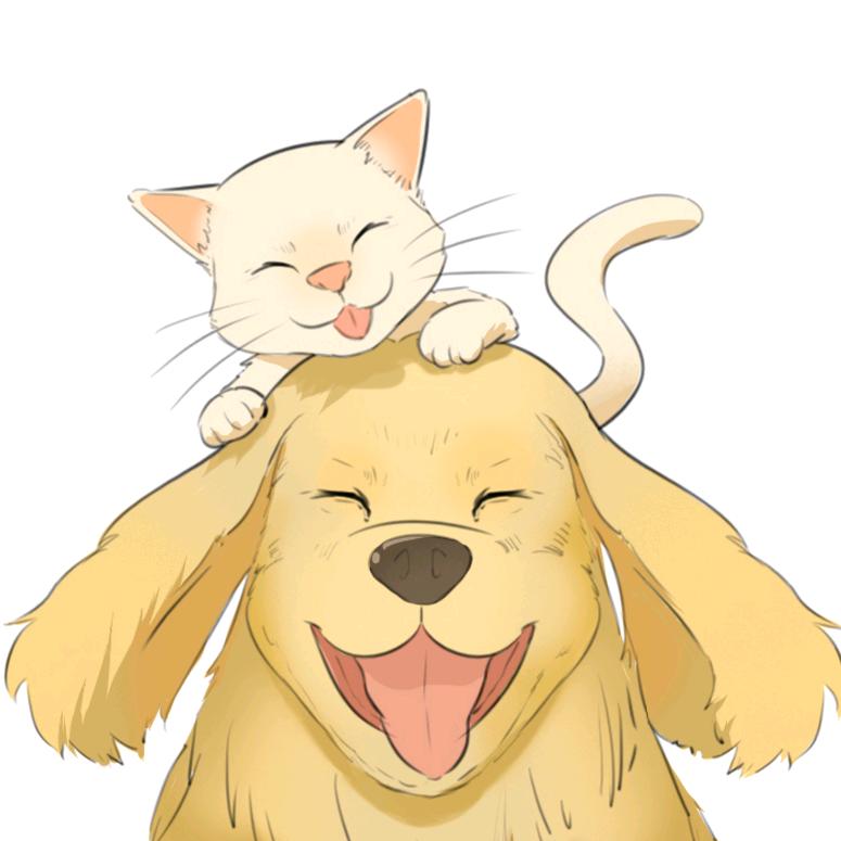 暖暖Furbaby@抖音