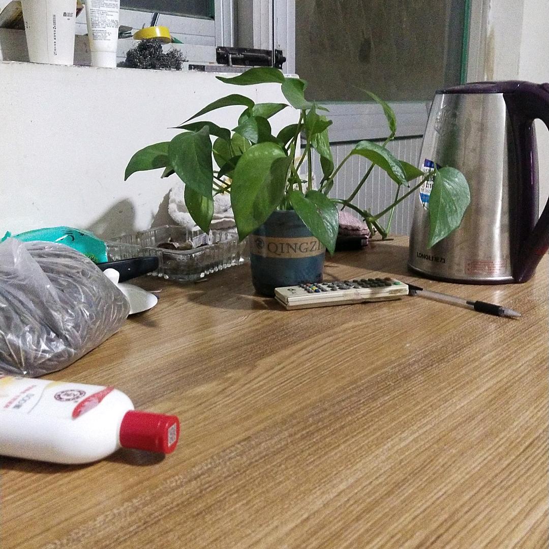 老刘爱唱歌