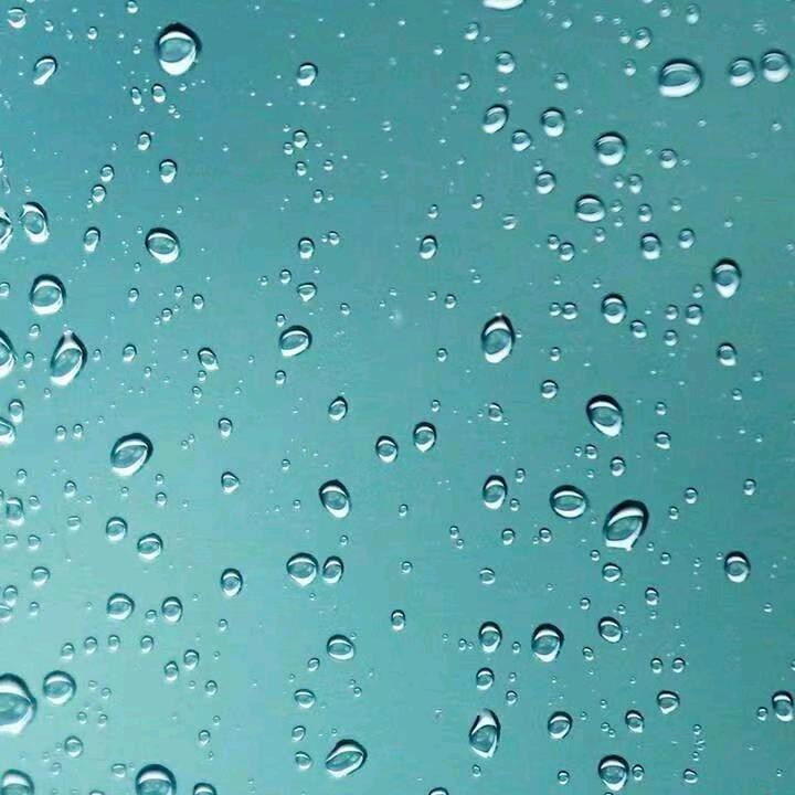 人生