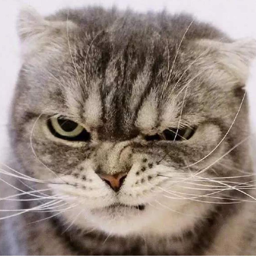 青春献给小酒桌