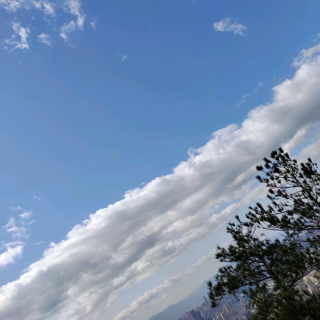 .最强砍王