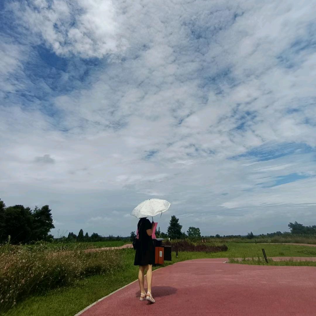 阳与璐阳