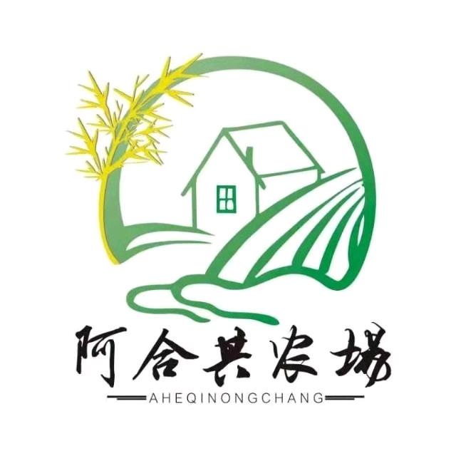 灵韵阿合其