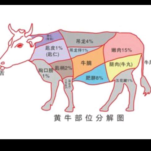 耿兴鲜牛肉  牛肉丸