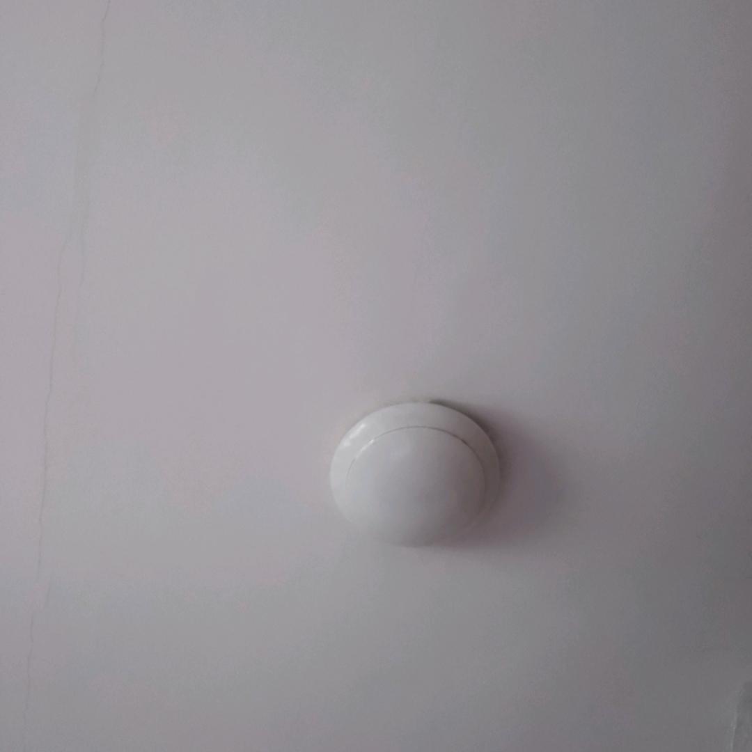 明知故问
