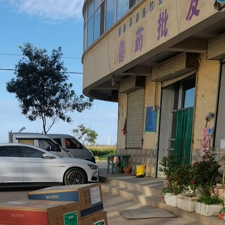 洋葱代办