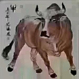 为了生活，理想加油