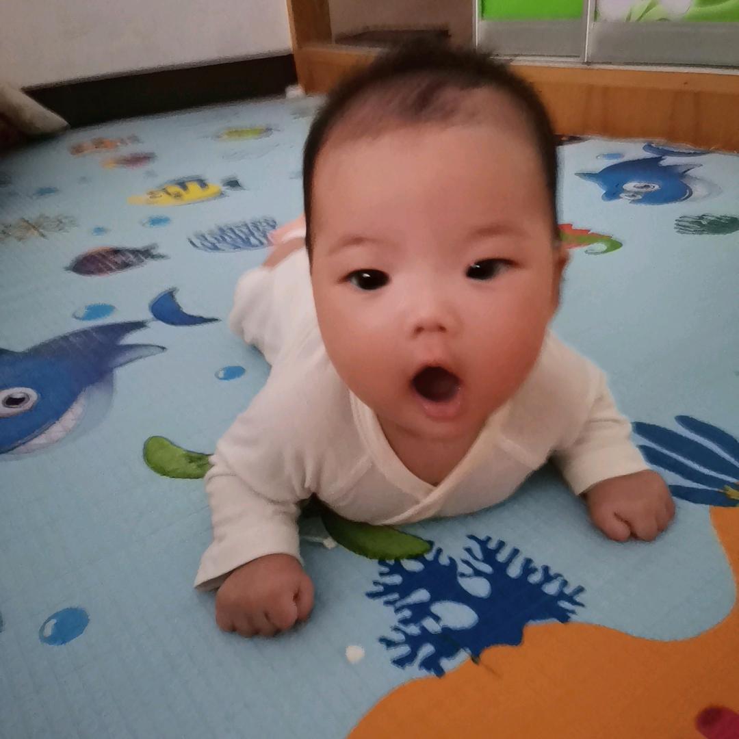 悦悦