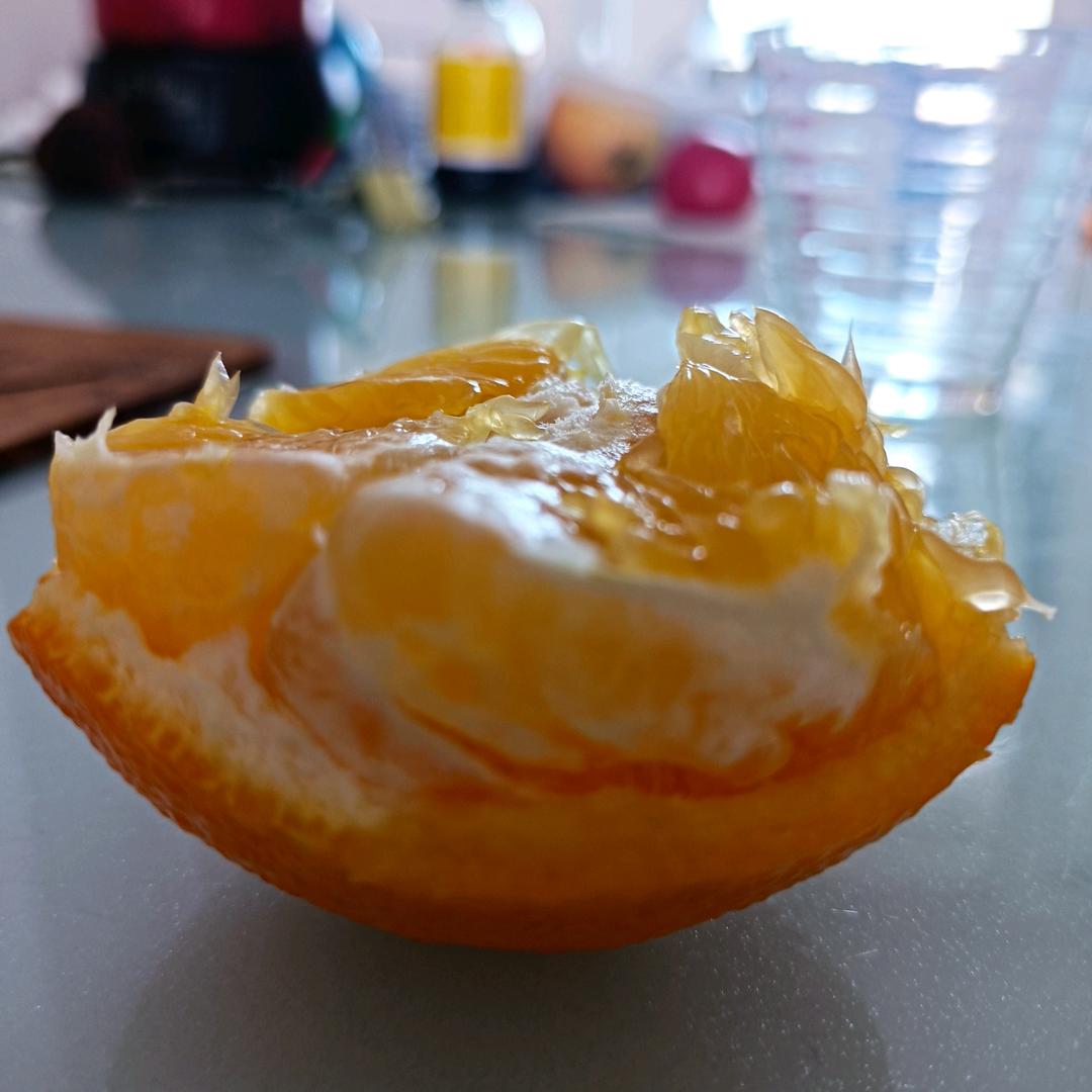 鸽子