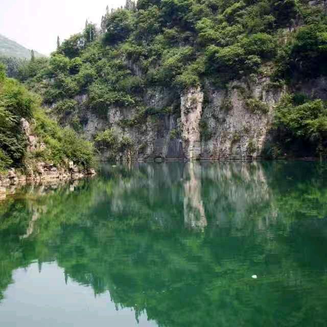 清茶