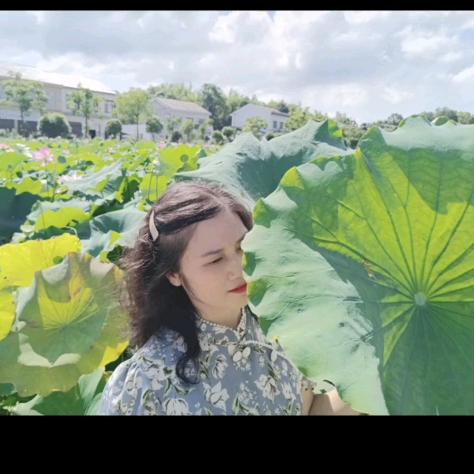 菊子姐姐
