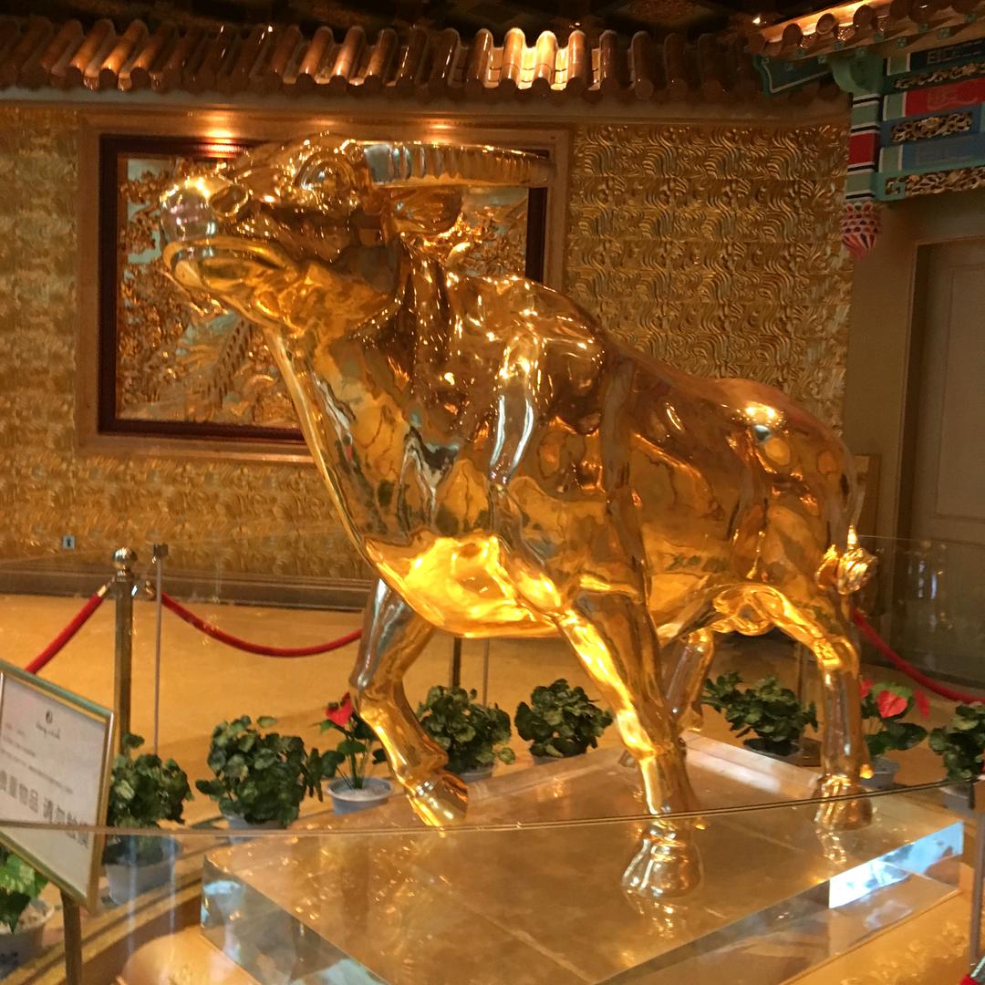 妄想摘星