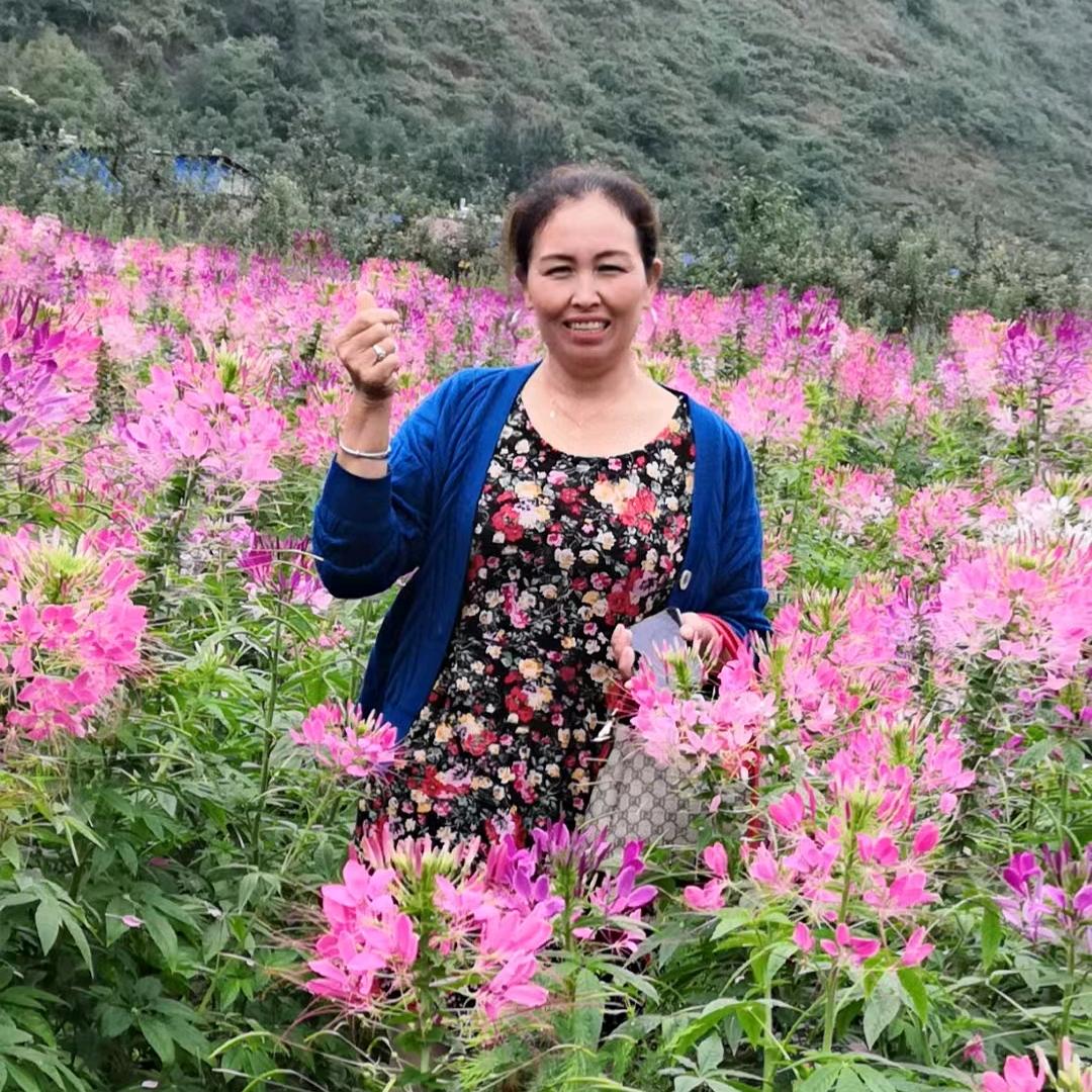 我是昭通种植丑苹果的农民人