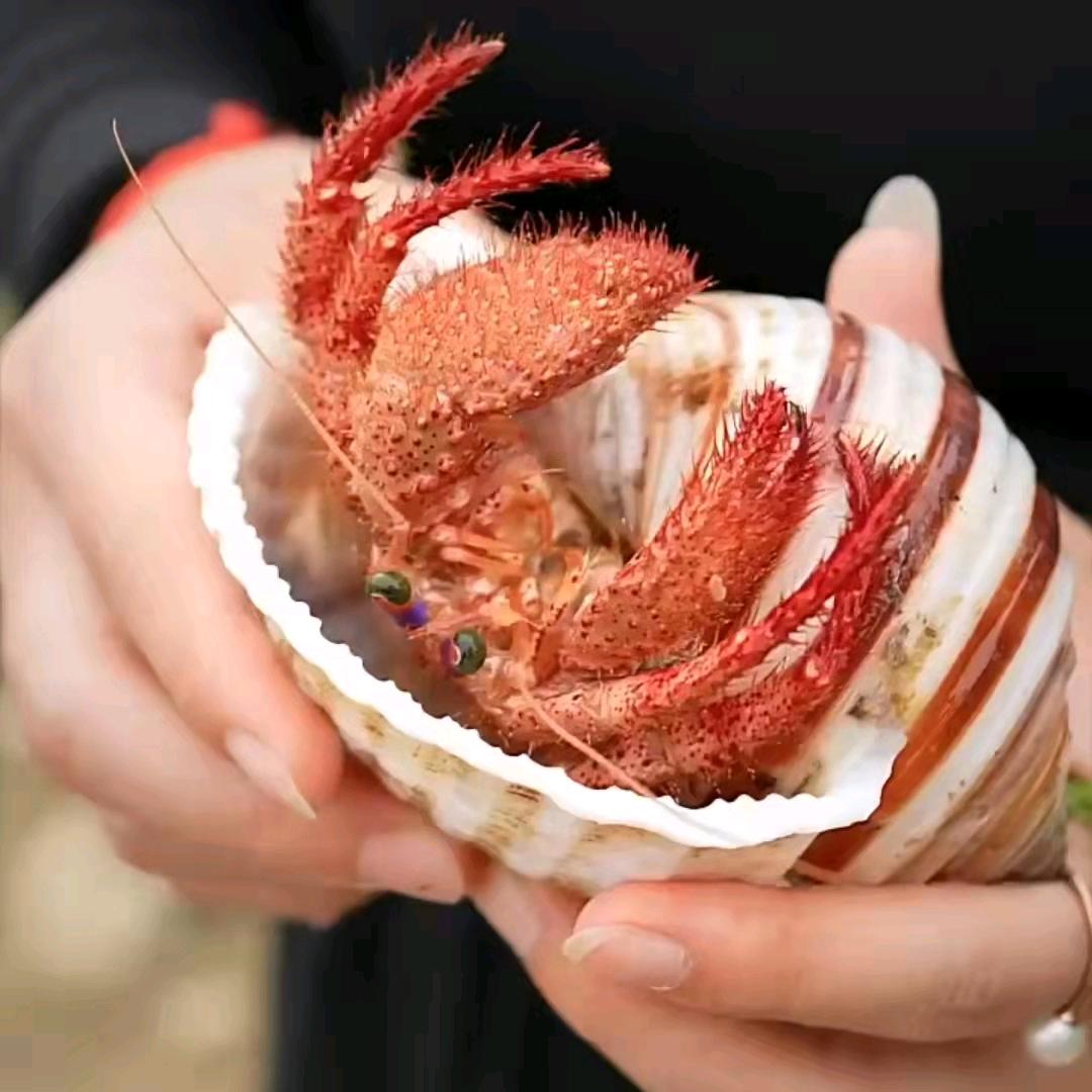 搞笑二人组