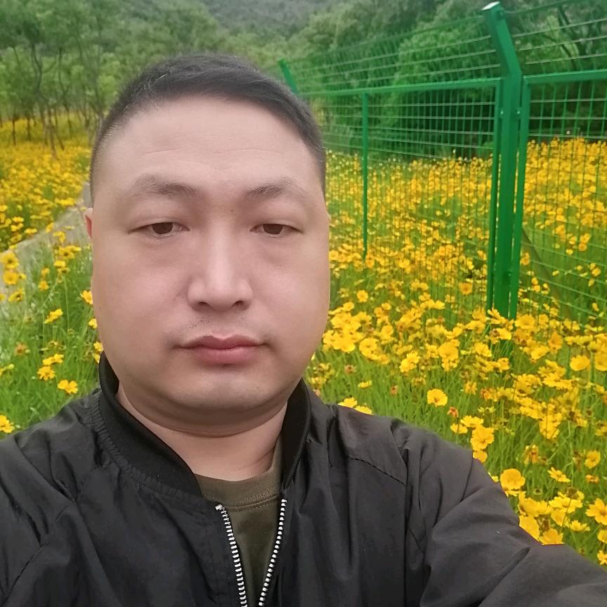 秋天的小树林