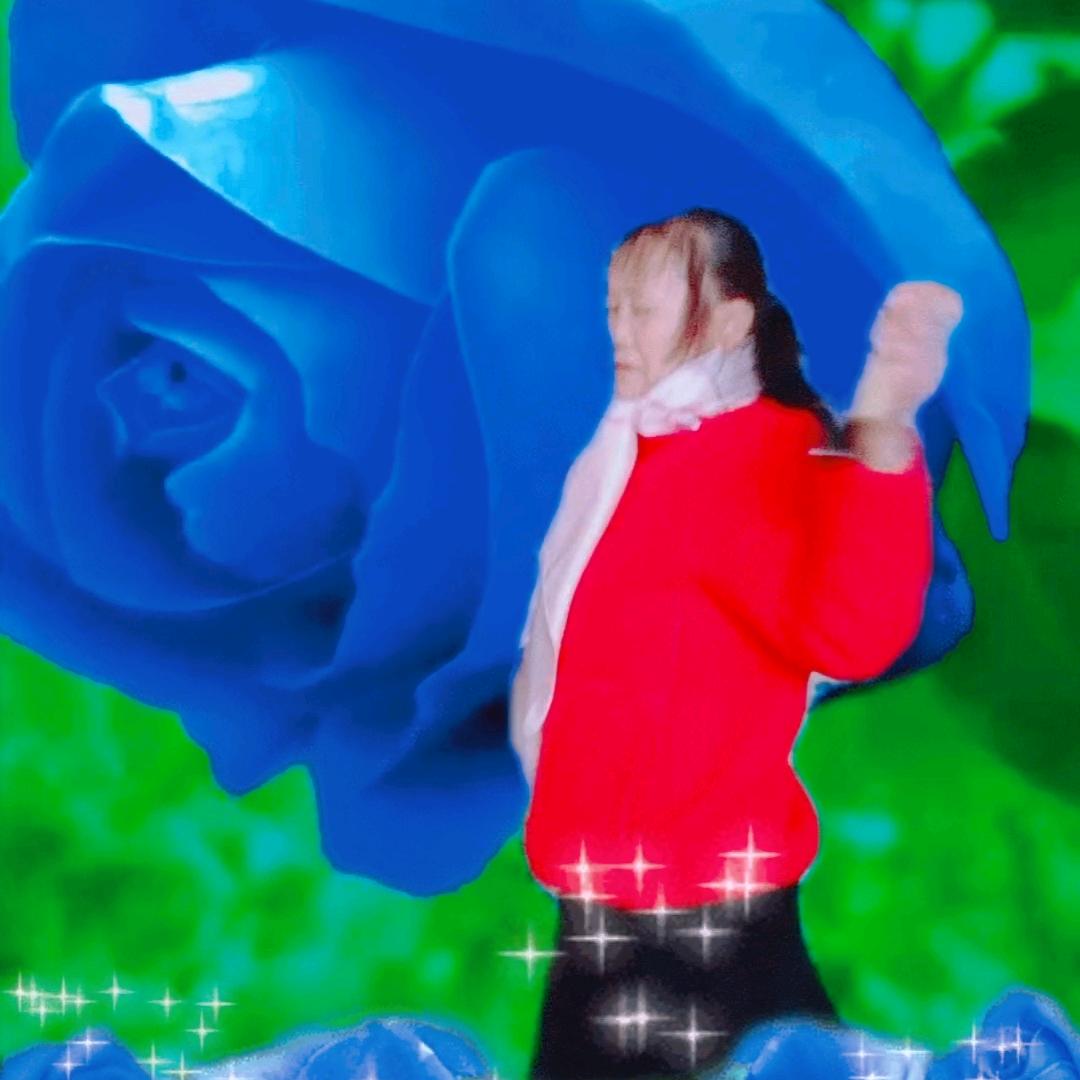 刘芬扯淡（5点开播）