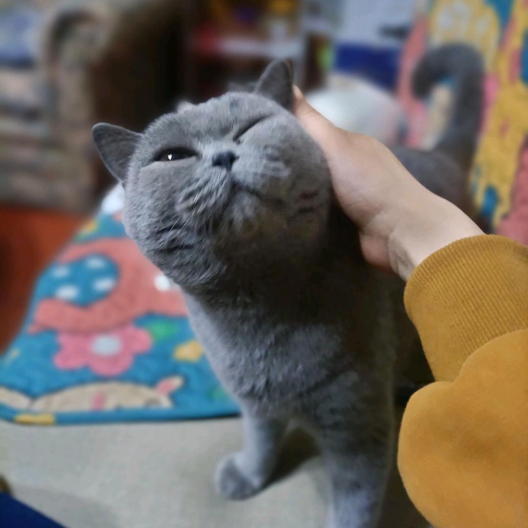 小坎过不去