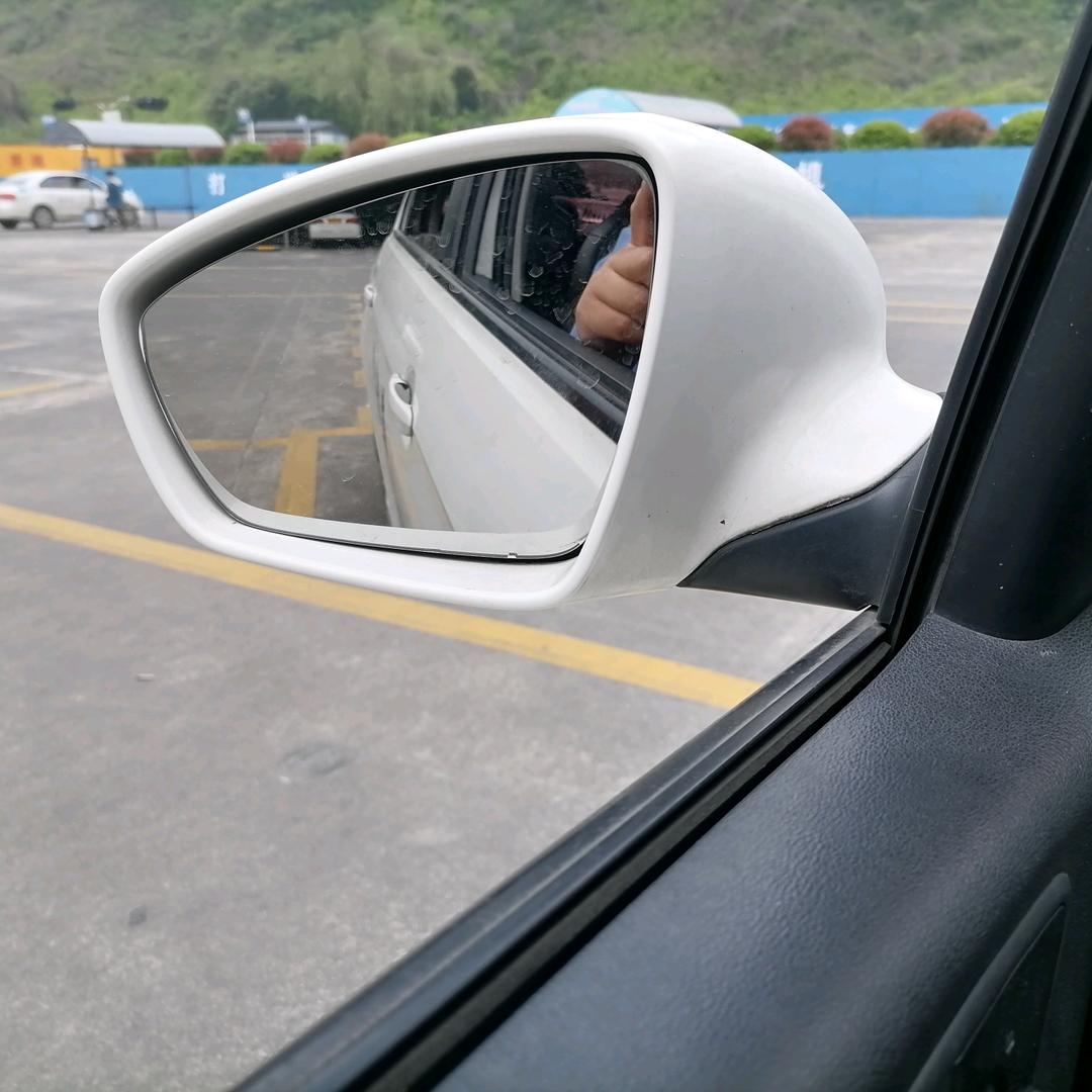 骆驼