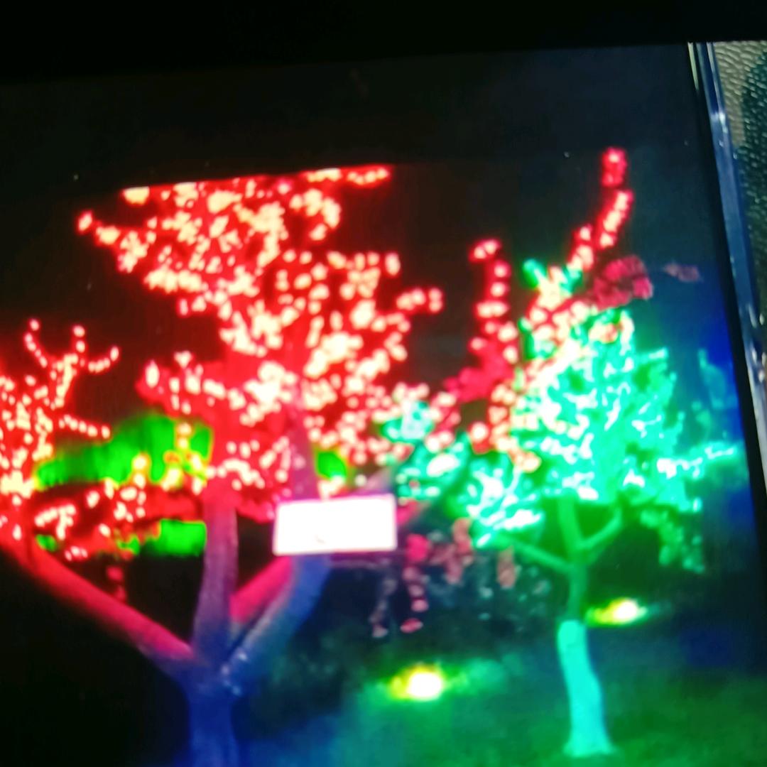 专业定制万年衣 李师傅