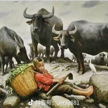 朱玉