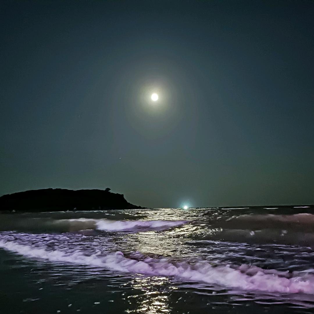 取个名字好难⁸⁰²³