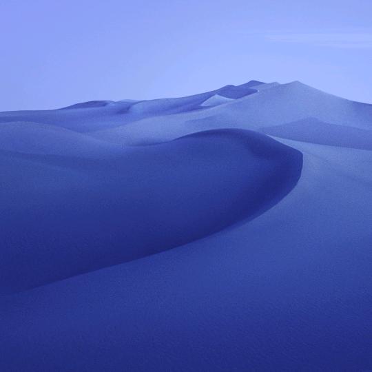 西杨楼唢呐班