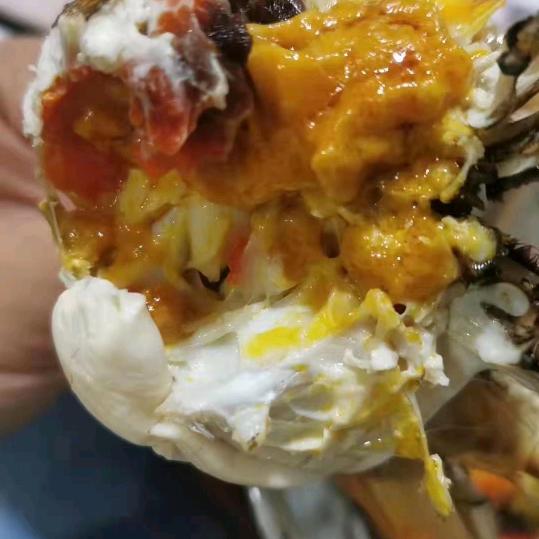 江苏红膏大闸蟹上海店