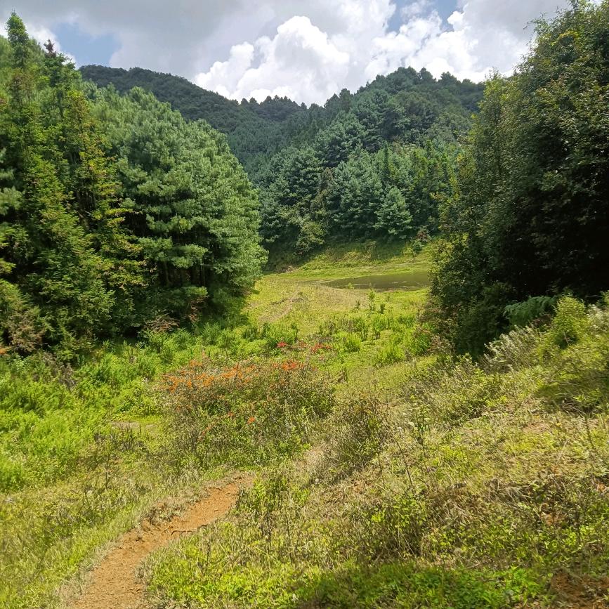 信仰