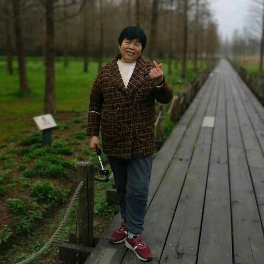 湖北刘老太