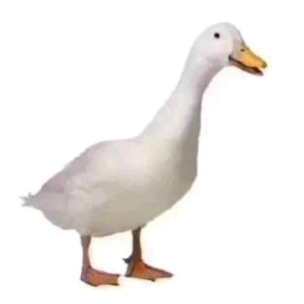沙包