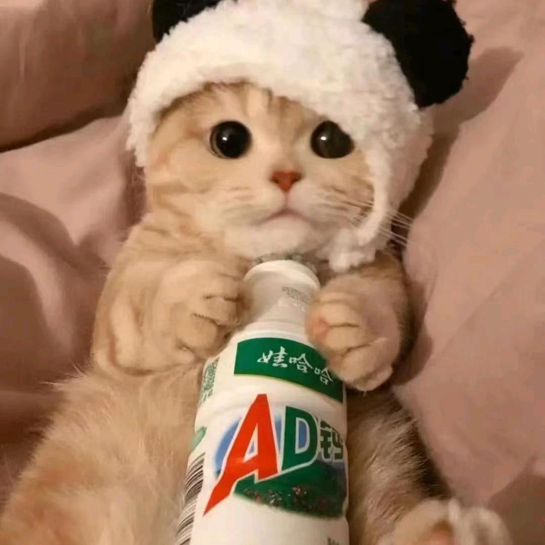 如果:爱