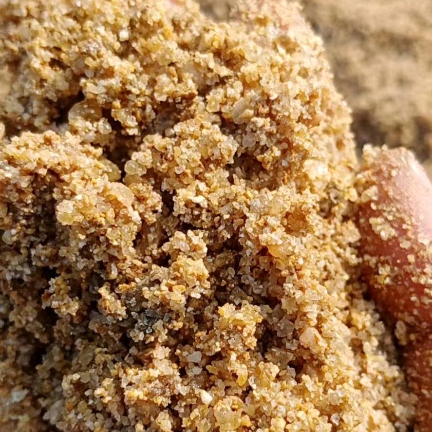 一鲸落，万物生！