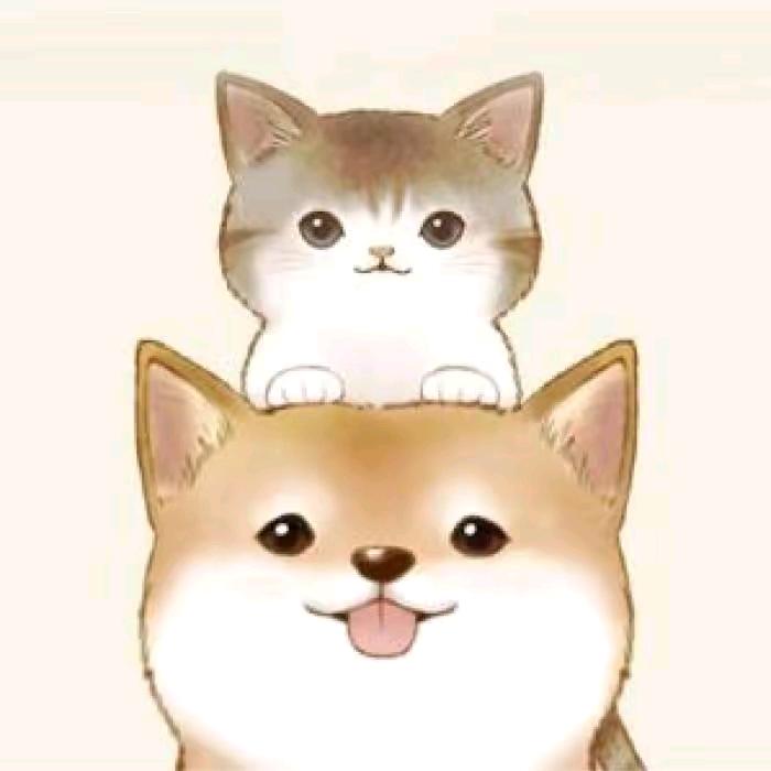 无人可依