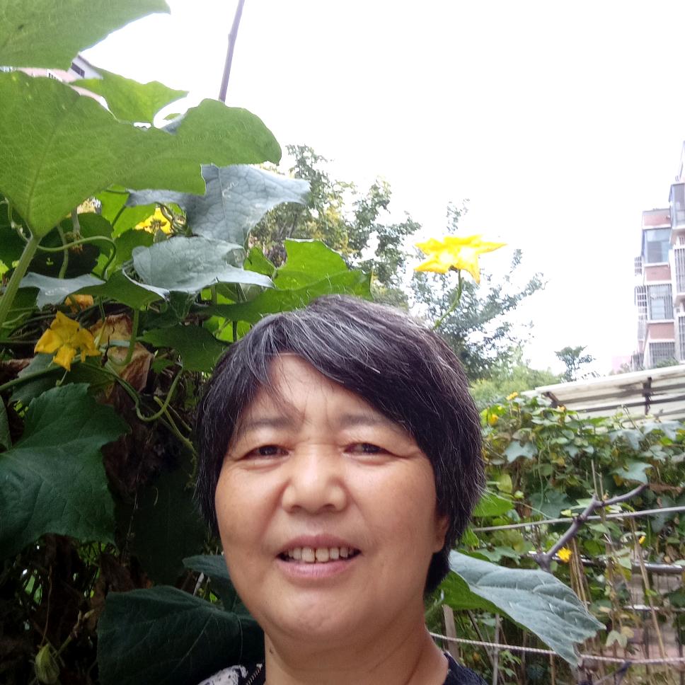 梦想（让梦放飞）