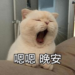 雨水姐姐