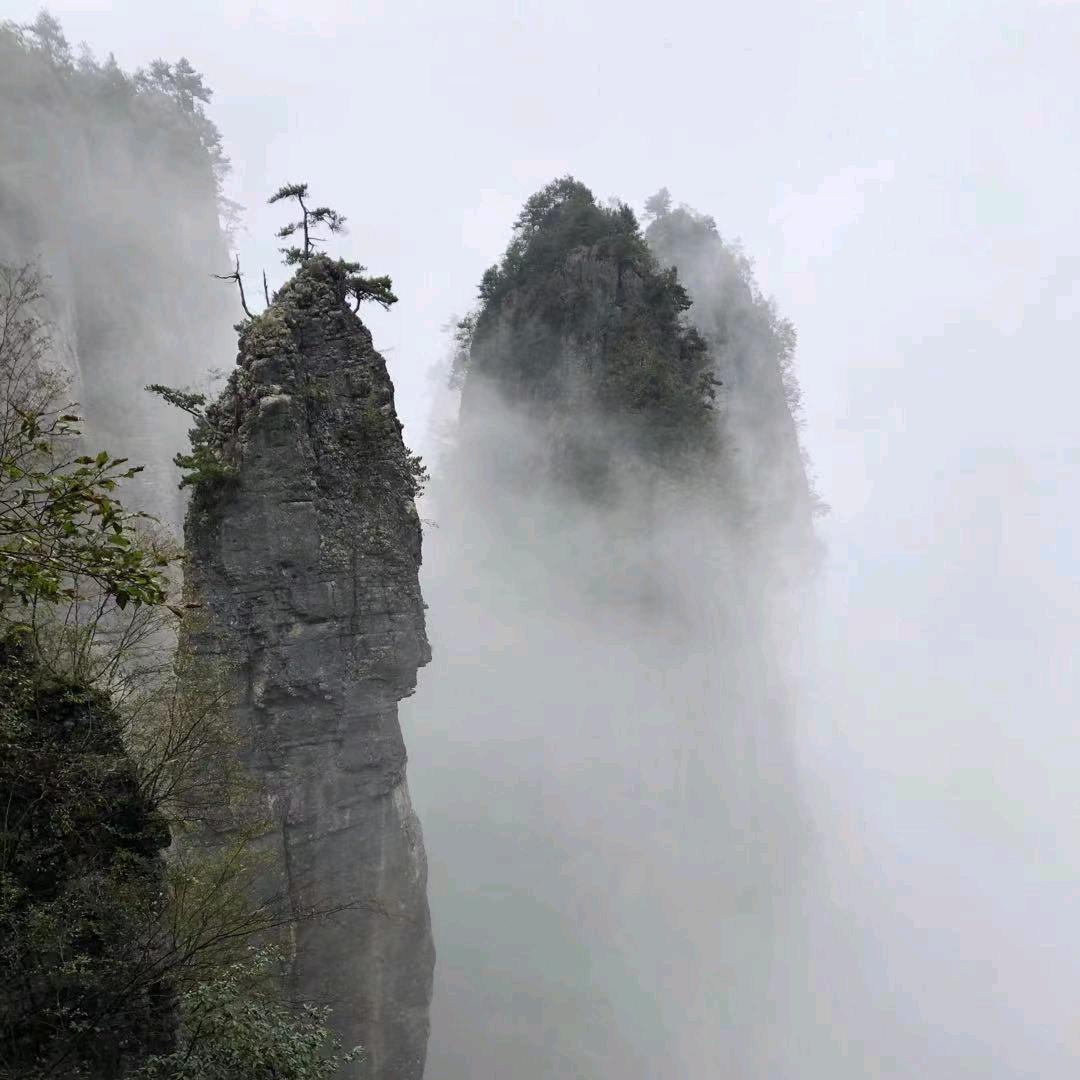 泌阳县付景石材厂