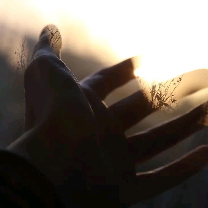 嘟宝