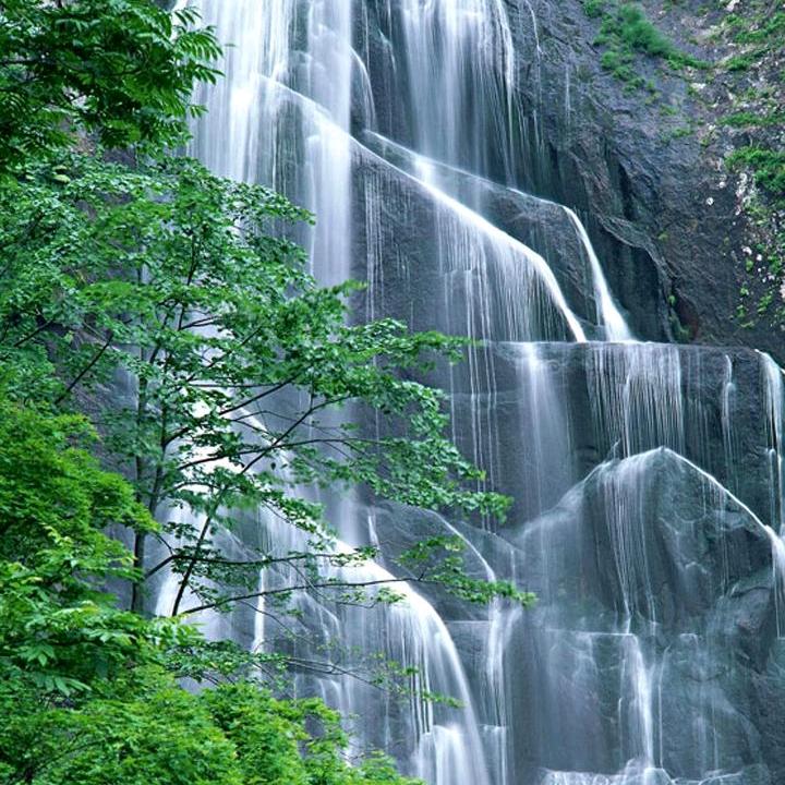 ╭☞钱•́⍛•̀涂╭☞无量