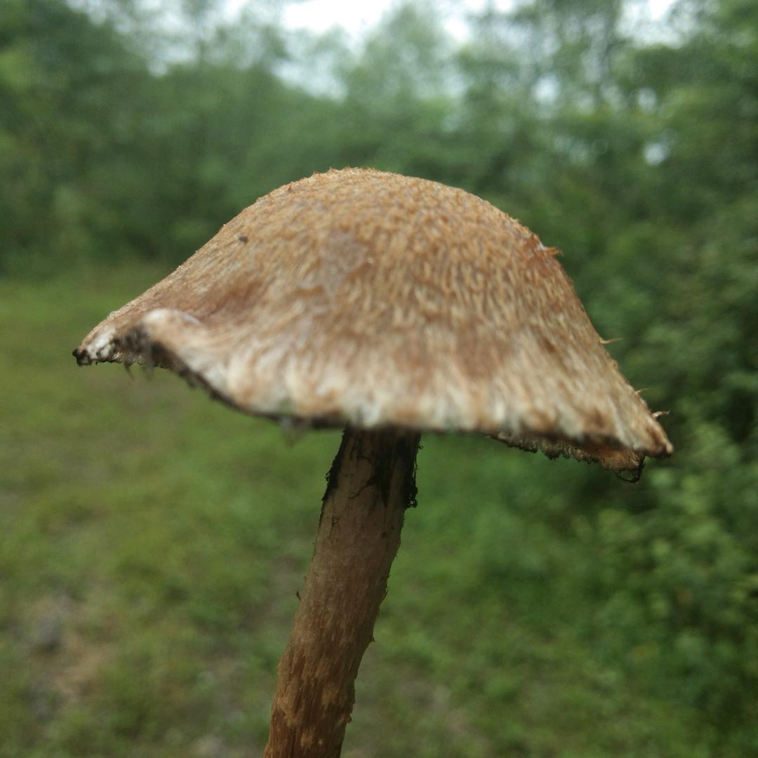用户969