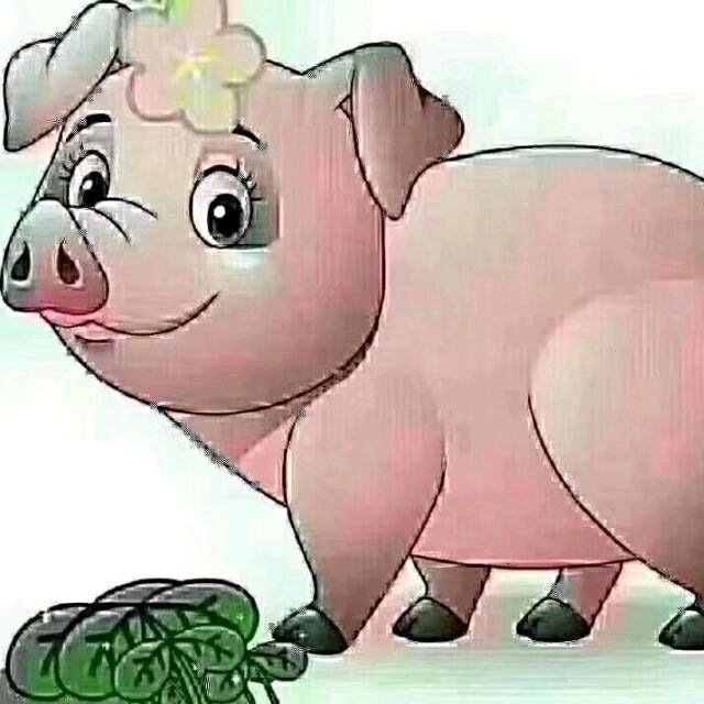 君泽333333