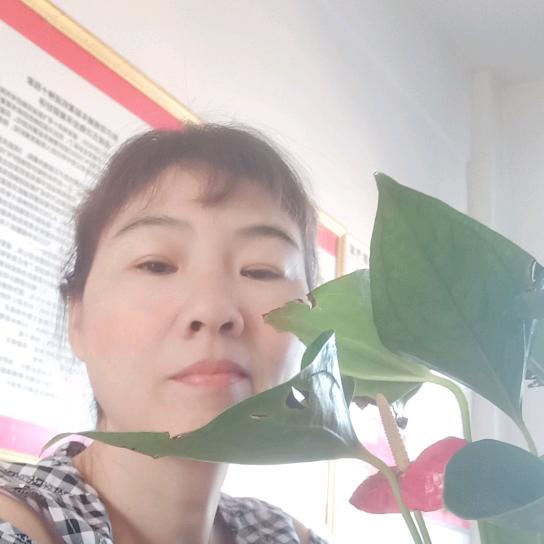 专用车厂家李姐
